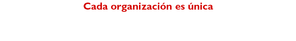 Cada organización es única Por eso te ofrecemos un servicio personalizado a tus necesidades, te presentamos nuestro proceso: