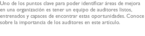 Uno de los puntos clave para poder identificar áreas de mejora en una organización es tener un equipo de auditores listos, entrenados y capaces de encontrar estas oportunidades. Conoce sobre la importancia de los auditores en este artículo.